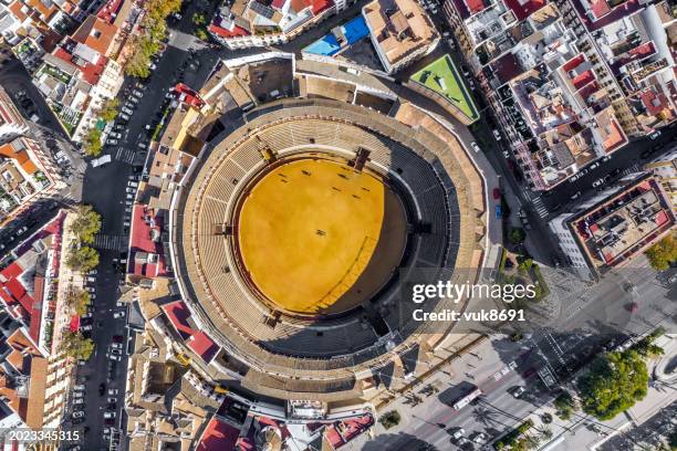 bullfight arena in seville - drone point of view cattle stock pictures, royalty-free photos & images