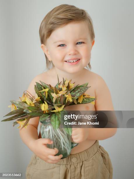 little boy holding first spring flowers - dogtooth violet stock pictures, royalty-free photos & images