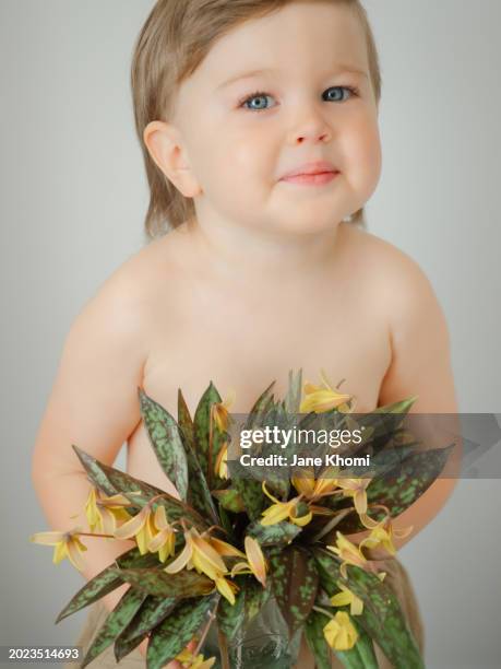 little boy holding first spring flowers - dogtooth violet stock pictures, royalty-free photos & images