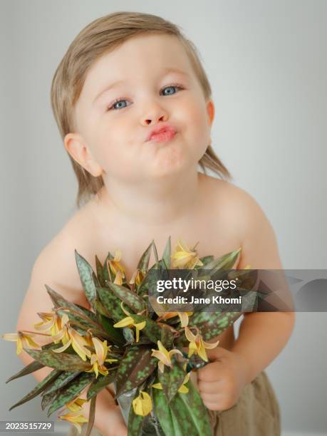 little boy holding first spring flowers - dogtooth violet stock pictures, royalty-free photos & images