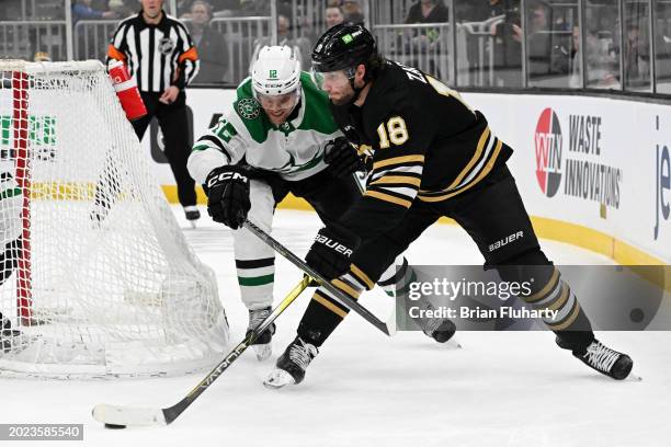 Pavel Zacha of the Boston Bruins skates against Radek Faksa of the Dallas Stars during the third period at the TD Garden on February 19, 2024 in...