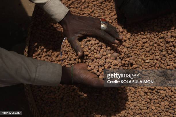 Tiger nuts are sold at the market in Jibia on February 18, 2024. Nigeria, which shares 1,600 km of border with its neighbor, was until now one of...