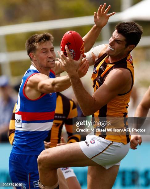Ned Reeves of the Hawks and Ryan Gardner of the Bulldogs compete for the ball during the AFL 2024 Match Simulation between the Western Bulldogs and...