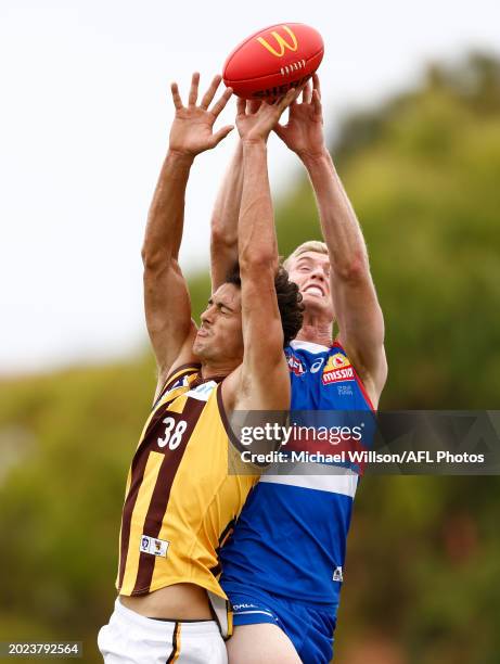 177 Michael Ramsden Stock Photos, High-Res Pictures, and Images - Getty ...