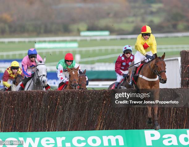 Jockey Joe Tizzard riding Joe Lively winning the Servo Computer Services Trophy Handicap Chase at Cheltenham, 15th November 2008. Placed second...