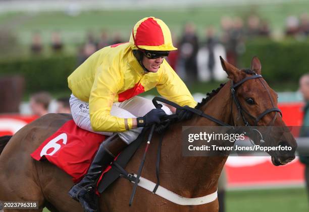 Jockey Joe Tizzard riding Joe Lively winning the Servo Computer Services Trophy Handicap Chase at Cheltenham, 15th November 2008.