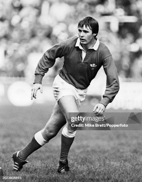 17 Malcolm Dacey Photos & High Res Pictures Getty Images