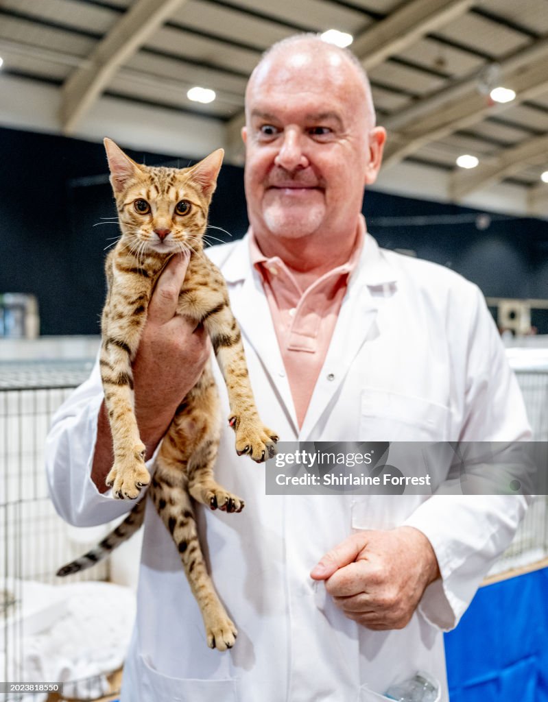 GCCF Coventry And Leicester Cat Show