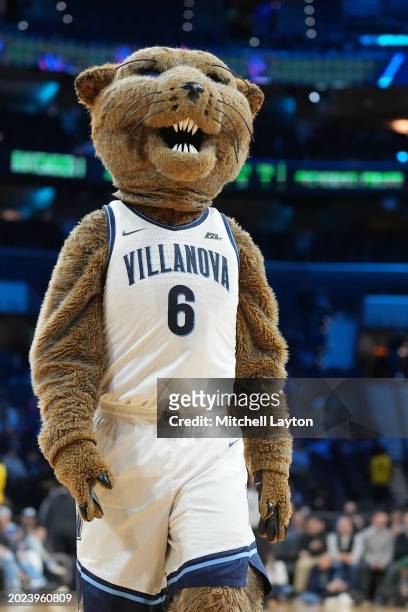 The Villanova Wildcats mascot on the floor during a college basketball game against the Providence Friars at Wells Fargo Center on February 4, 2024...