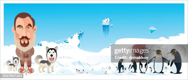 antarctica and roald amundsen - chinstrap penguin stock illustrations