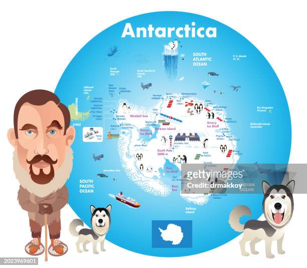antarctica and roald amundsen - water penguin stock illustrations