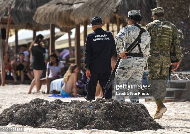 Mexican Marine, Police Municipal, and Mexican Army personnel patrolling the sandy shores of Puerto Morelos beach, on December 17 in Puerto Morelos,...