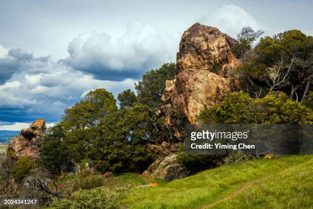 rock formation of coyote hills regional park - chert 個照片及圖片檔