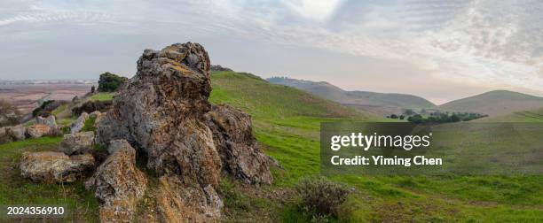 rock formation of coyote hills regional park - chert 個照片及圖片檔