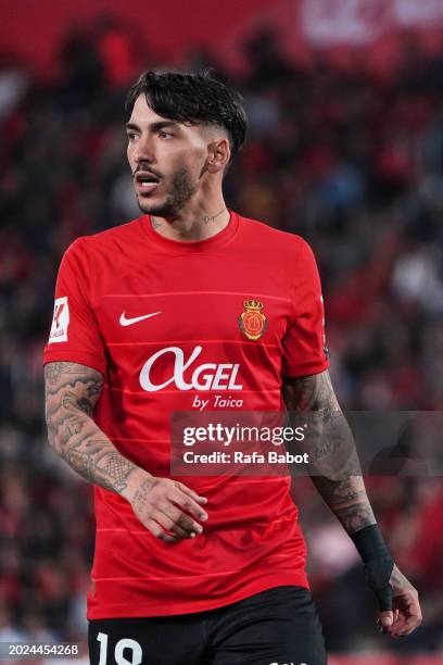 3,658 Antonio Mallorca Stock Photos, High-Res Pictures, And Images