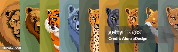 ilustraciones, imágenes clip art, dibujos animados e iconos de stock de grandes mamíferos carnívoros - piel leopardo