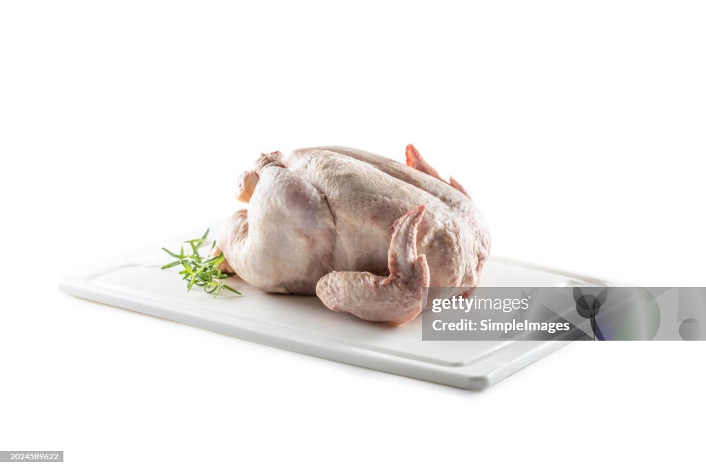 Raw chicken with rosemary on an isolated white background.