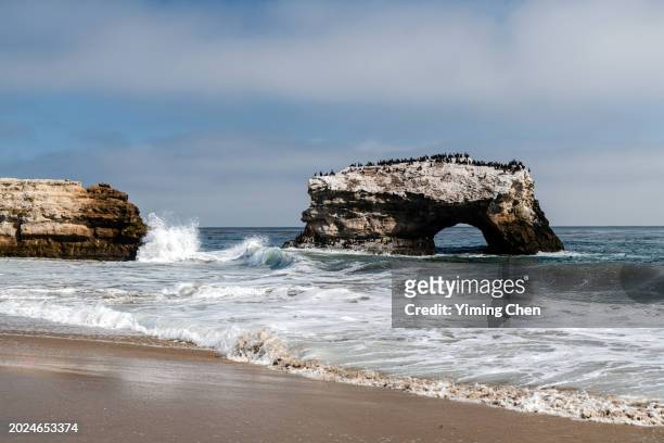 natural bridges state beach of santa cruz - cruz stock pictures, royalty-free photos & images