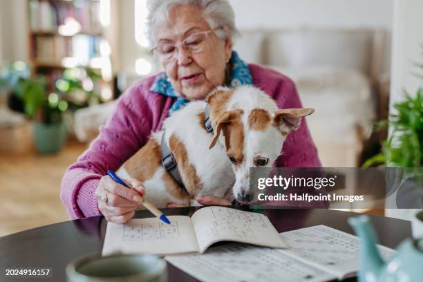 portrait of elderly woman solving sudoku puzzles at home, sitting in living room. sudoku as popular game for aging people, logical thinking, problem solving. - dementie stockfoto's en -beelden