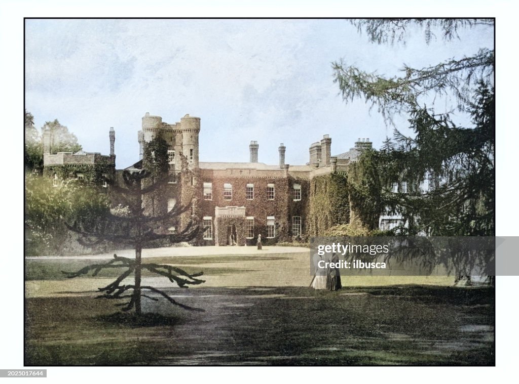 Antique London's photographs: The Oaks