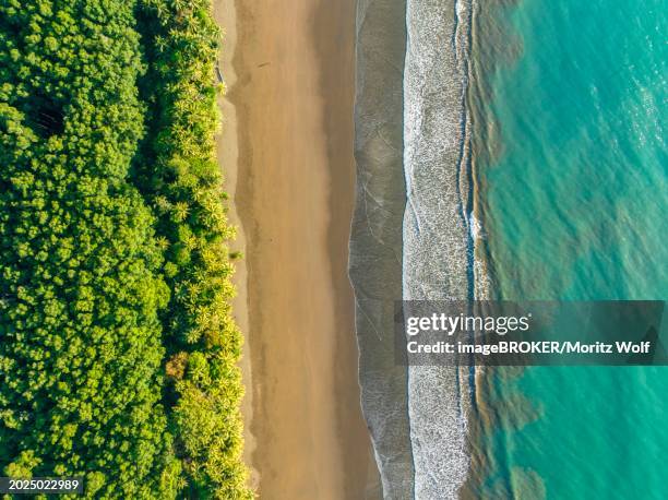 top-down, aerial view, waves, beach and rainforest, marino ballena national park, osa national park, dream beach and sea of the south pacific, puntarenas province, osa, costa rica, central america - ballena-marine-national-park stock pictures, royalty-free photos & images