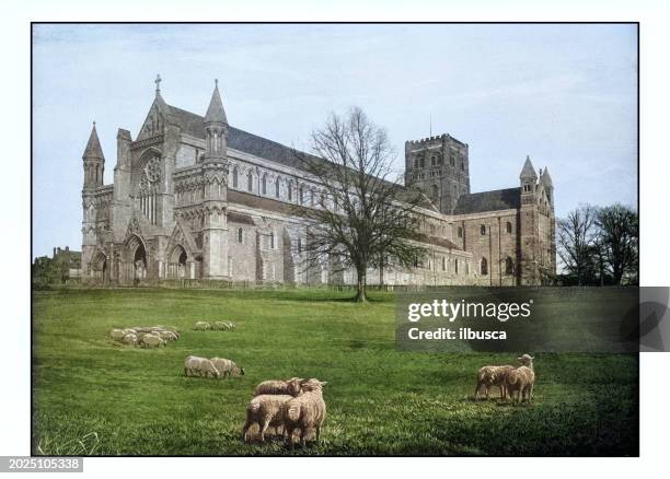 antique london's photographs: st albans abbey - agricultural field photos stock illustrations