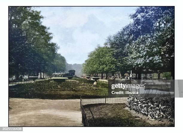 antique london's photographs: flower walk, regent's park - リージェンツパーク点のイラスト素材／クリップアート素材／マンガ素材／アイコン素材