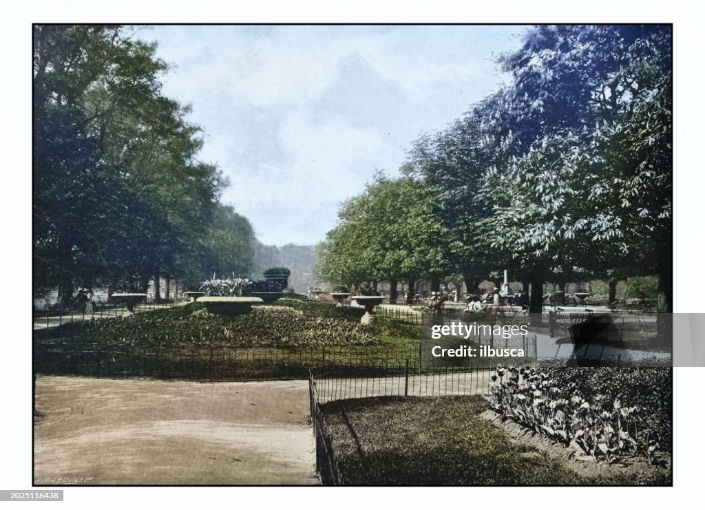 Antique London's photographs: Flower walk, Regent's Park