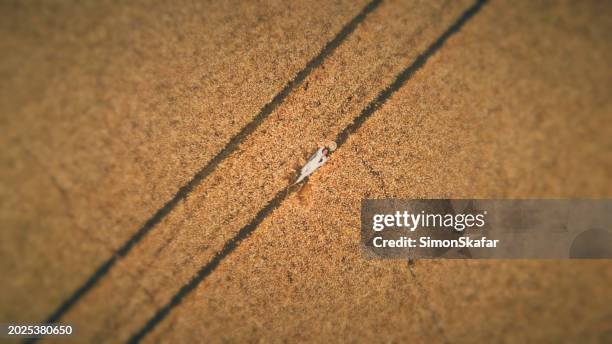 drone shot of woman lying down amidst vast wheat field - hungary countryside stock pictures, royalty-free photos & images