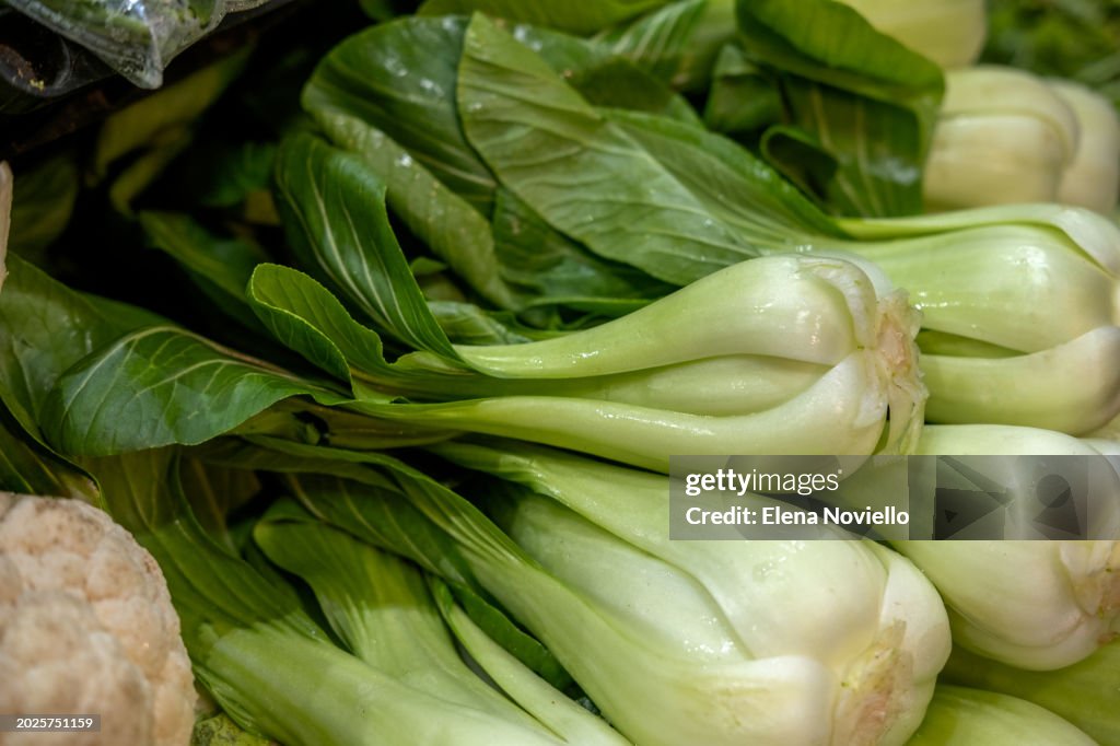 Fresh green bok choy on the market