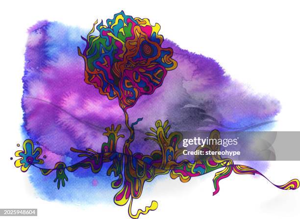 troubled terrain - old growth forest stock illustrations