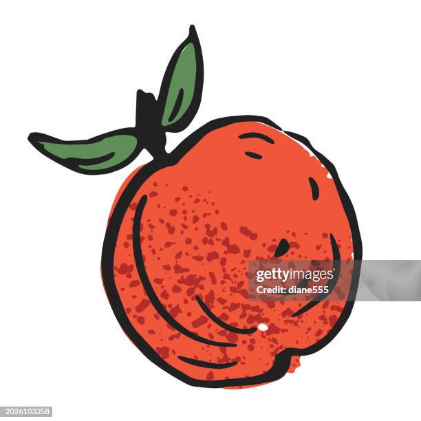 hand drawn vegetable on a transparent background - apple - single apple isolated stock illustrations