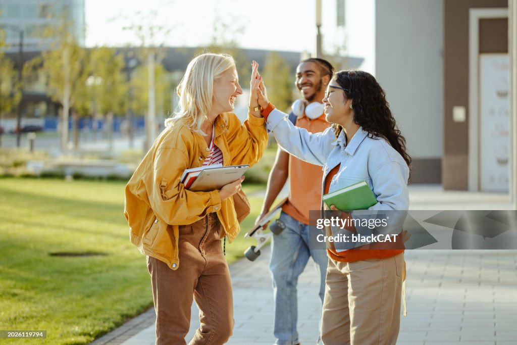Successful diverse students on the street