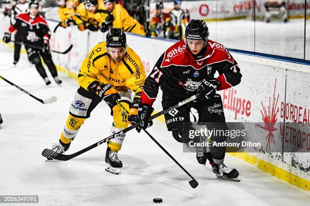 Nikita JEVPALOVS of Boxers de Bordeaux and Kristaps SOTNIEKS of Rouen during the Ligue Magnus match between Boxers de Bordeaux and Dragons de Rouen...