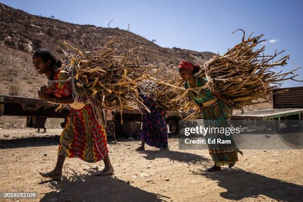 Women carrying sticks walk past burnt trucks that were destroyed during the war in Tigray on February 18, 2024 in Tigray Region, Ethiopia. More than...