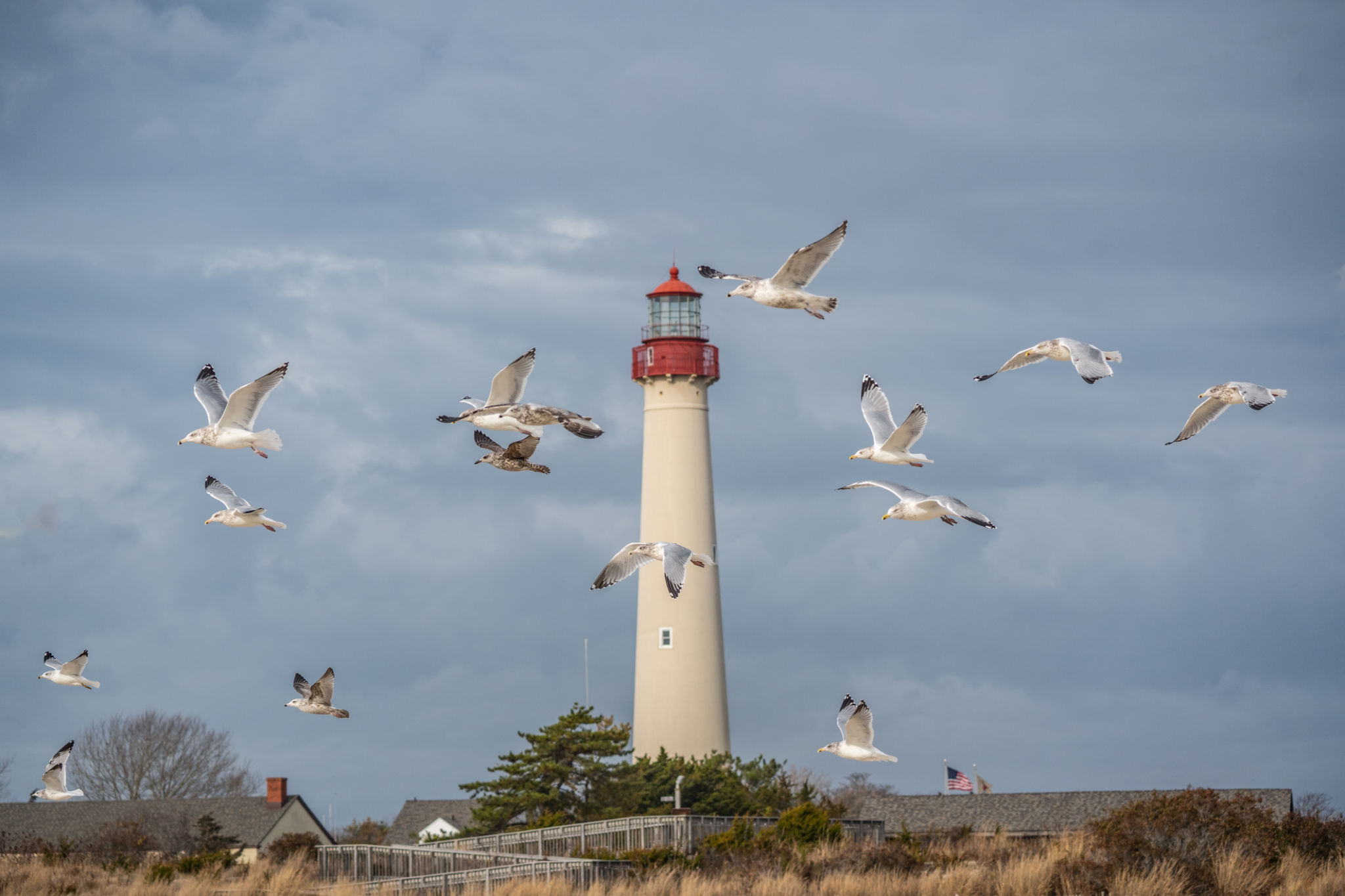 cape may coastline
