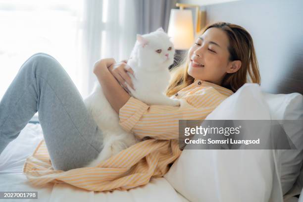 young asian beautiful woman leaning against pillow while her fluffy white cat standing on her chest, lady smile with happiness while cuddle with her cat at home with relaxation emotion. - woman flat chest 個照片及圖片檔