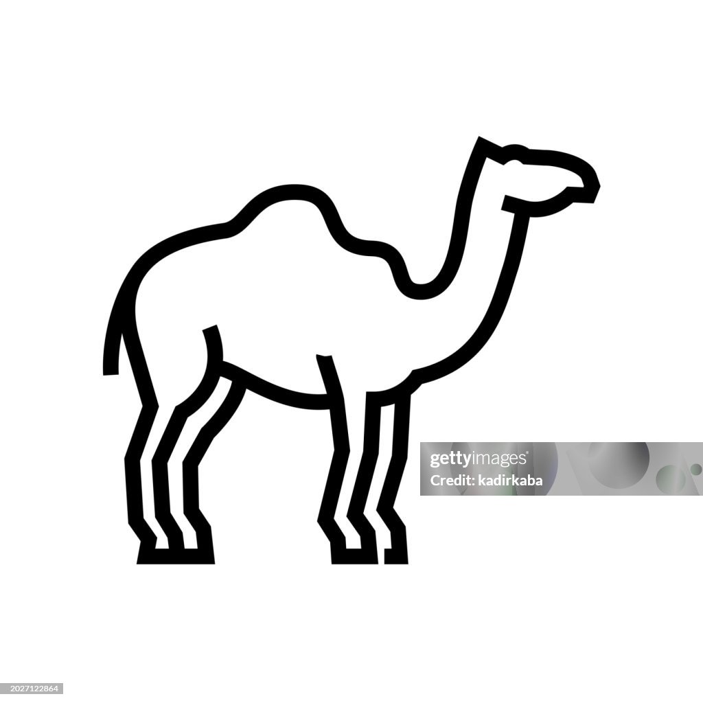 Camel Line Icon