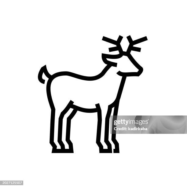 bildbanksillustrationer, clip art samt tecknat material och ikoner med deer animal line icon - white tail buck