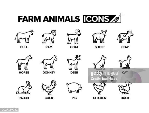 ilustraciones, imágenes clip art, dibujos animados e iconos de stock de conjunto de iconos de línea de animales de granja - carne de vaca
