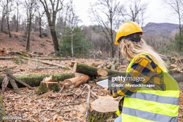 female environmentalist researcher with data gathering equipment in a storm damaged forest - destruction stock pictures, royalty-free photos & images