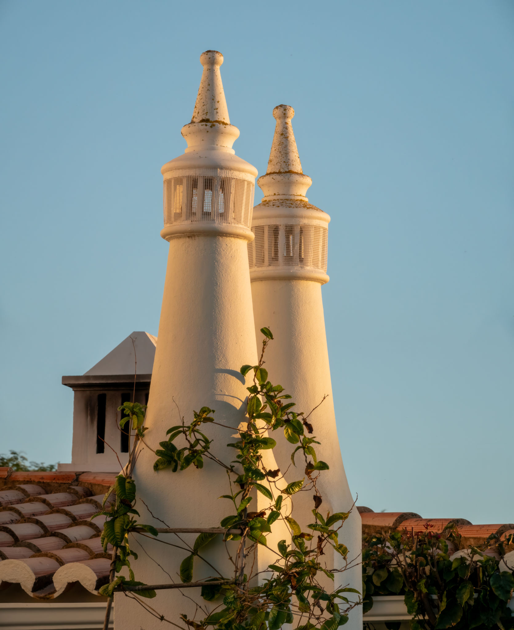 algarve region