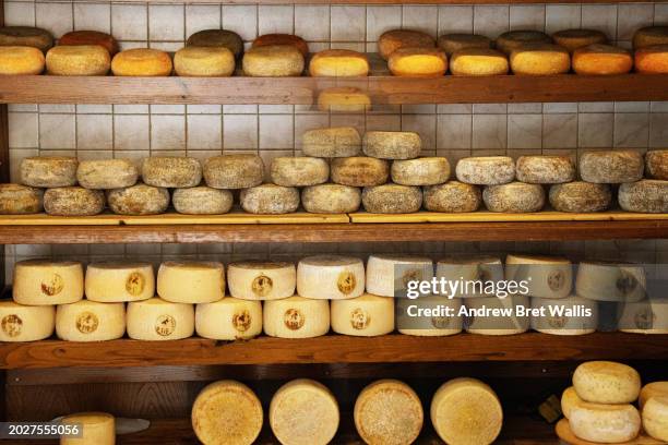 Matured Cheese 99 Matured Cheese Stock Photos, High-Res Pictures, and Images - Getty ...