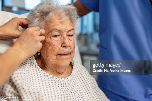 senior patient feeling pain on chest, heart attack symptoms for older woman. nurse putting oxygen nasal cannula on her face. healthcare for elderly patients. - nasal cannula ストックフォトと画像
