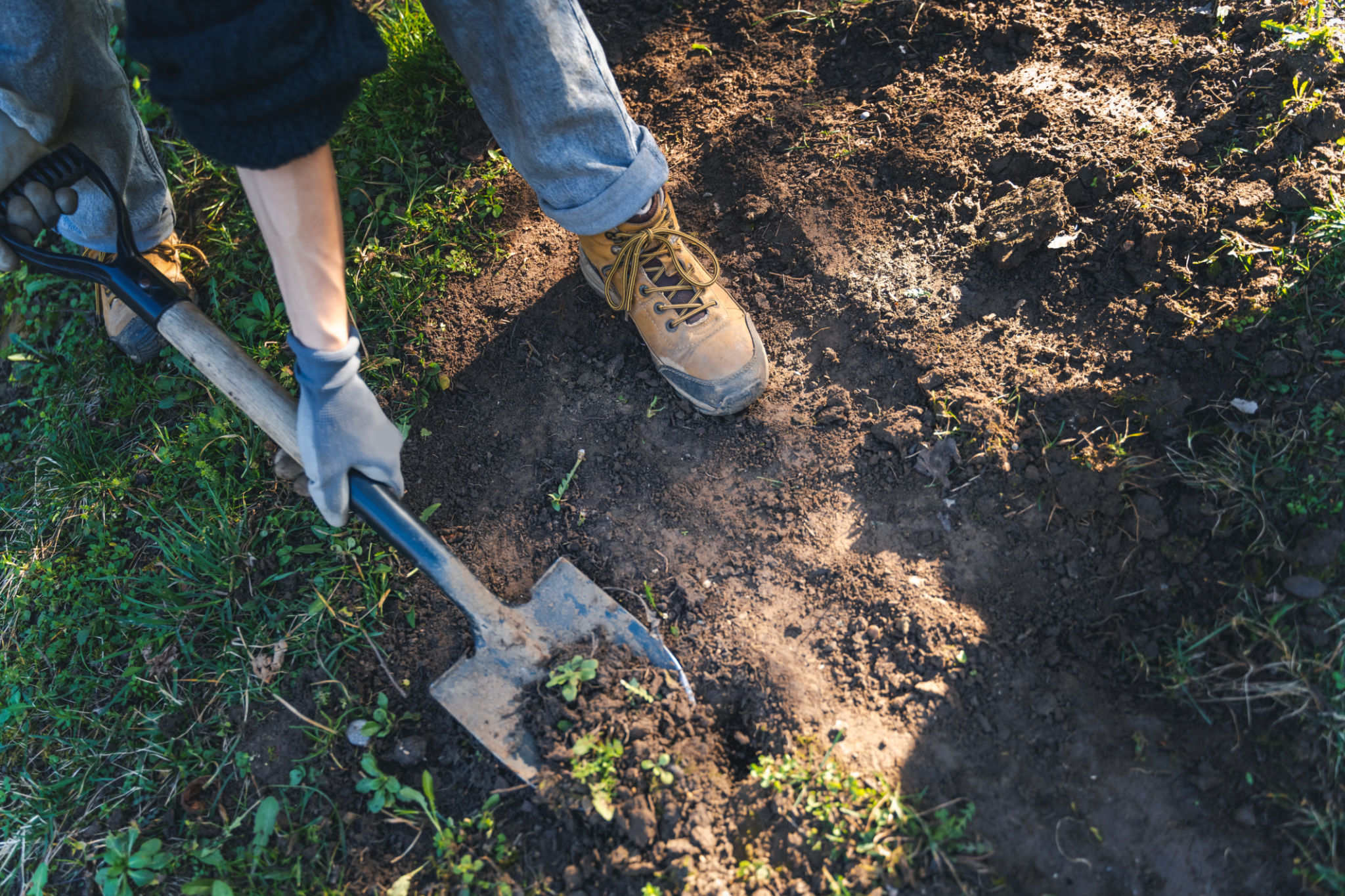 digging garden