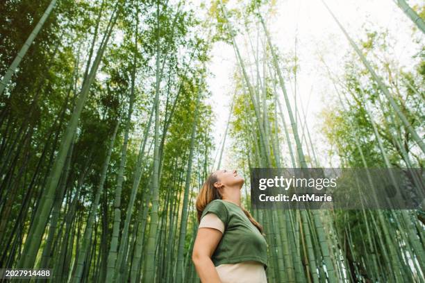 femme dans une forêt de bambous - journée mondiale de la terre photos et images de collection