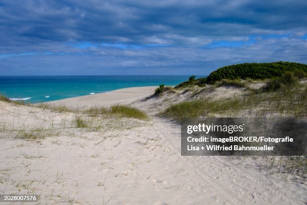 sand dunes, de hoop nature reserve, nature reserve near struisbaai, garden route, western cape, south africa, africa - baai 個照片及圖片檔