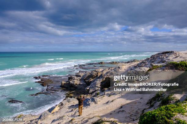 sand dunes, de hoop nature reserve, nature reserve near struisbaai, garden route, western cape, south africa, africa - baai 個照片及圖片檔