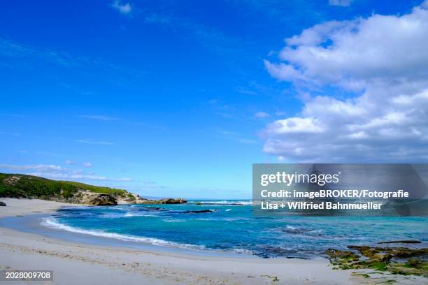 beach, de hoop nature reserve, nature reserve near struisbaai, garden route, western cape, south africa, africa - baai 個照片及圖片檔