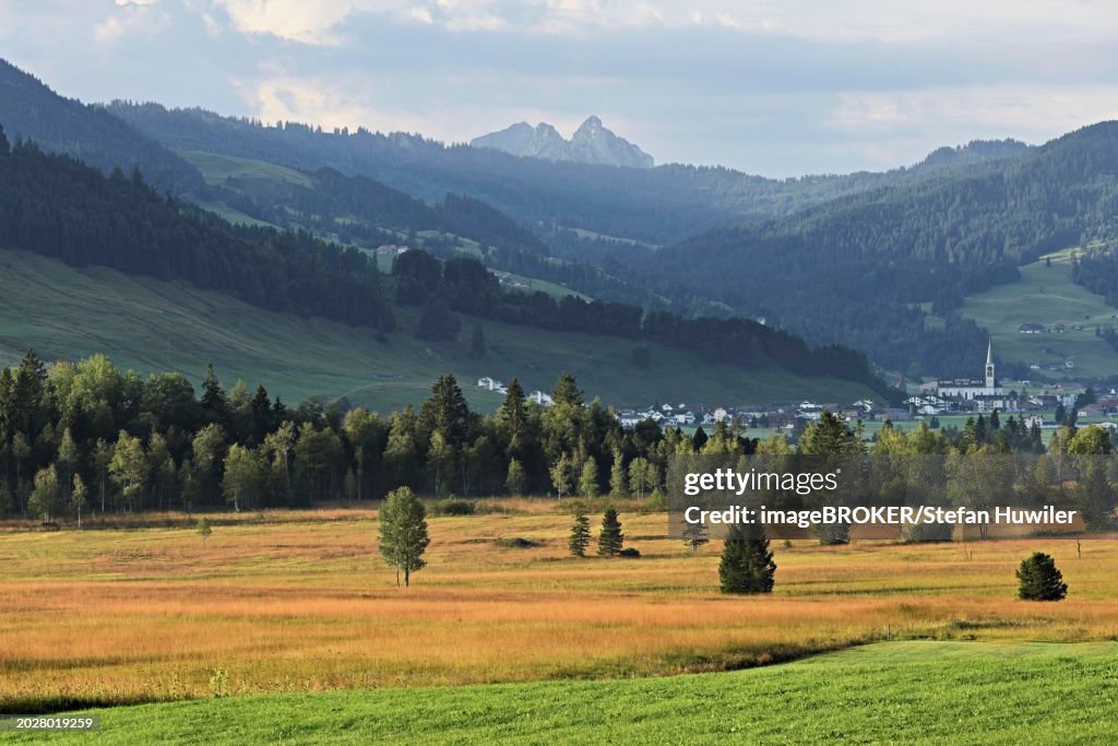 High moor in autumnal discolouration, Rothenthurm, Canton Schwyz, Switzerland, Europe